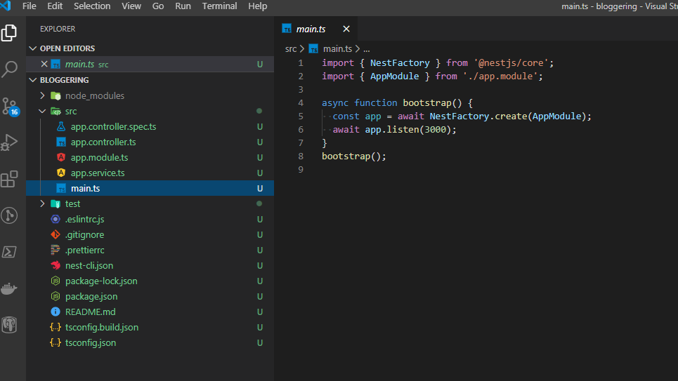 Inside Nestjs project